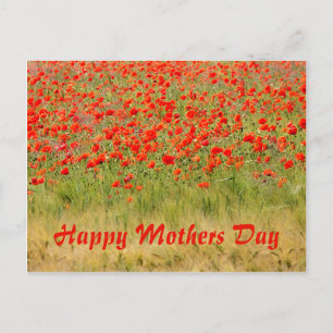 Rotsommerliche Blume, Muttertag Postkarte