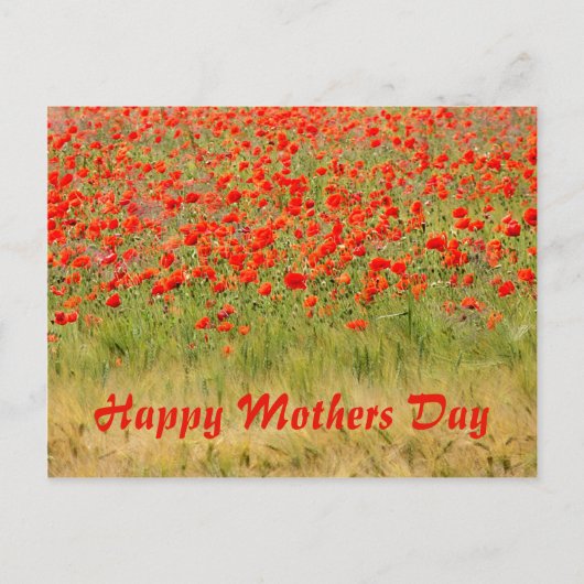 Rotsommerliche Blume, Muttertag Postkarte (Vorderseite)