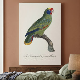 Rotstirn-Amazone, Amazona Brasiliensis Leinwanddruck