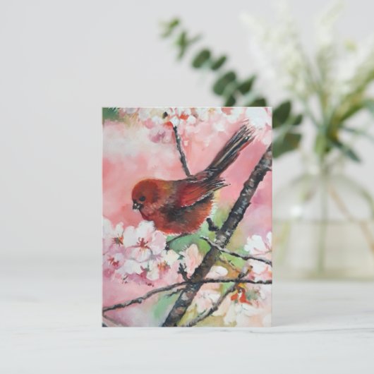 Rottanagervogel auf Kirschblüte (Stehend Vorderseite)