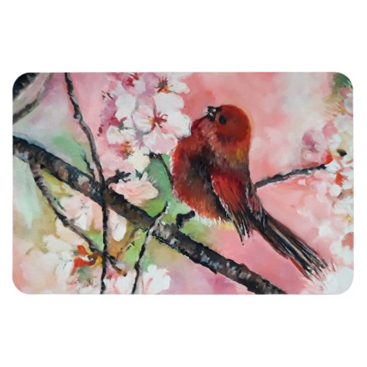 Rottanagervogel auf Kirschblüte Magnet (Horizontal)