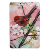 Rottanagervogel auf Kirschblüte Magnet (Vertikal)