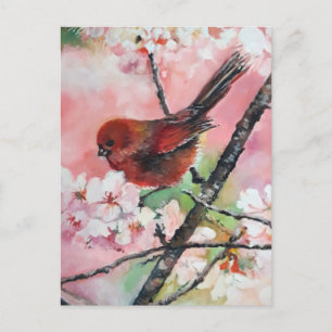 Rottanagervogel auf Kirschblüte Postkarte