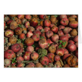 Rotte Äpfel (Vorderseite (Horizontal))