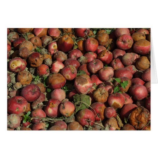 Rotte Äpfel (Vorderseite (Horizontal))