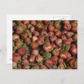 Rotte Äpfel Postkarte (Vorne/Hinten)