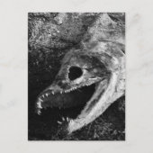 Rotte Fischkopfknochen Postkarte (Vorderseite)