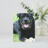 Rotte Postkarten (Stehend Vorderseite)