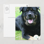 Rotte Postkarten (Vorne/Hinten)