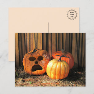Rotten Pumpkins Halloween Postcard Postkarte