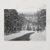 Rotterdam Postkarte (Vorderseite)