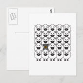 Rottie im Schafe Postkarte (Vorne/Hinten)