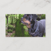 Rottie Welpen-Visitenkarten Visitenkarte (Rückseite)