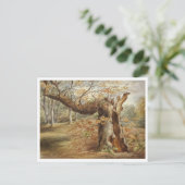 Rotting Tree von Elizabeth Murray Postkarte (Stehend Vorderseite)