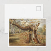 Rotting Tree von Elizabeth Murray Postkarte (Vorne/Hinten)