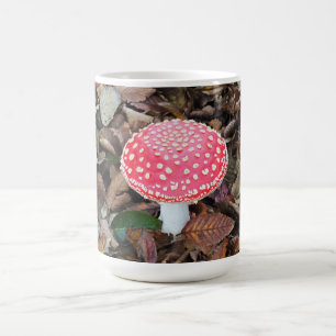 Rottoadstol Amanita muscaria Kaffeetasse