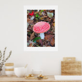 Rottoadstol, Amanita muscaria Poster (Küche)