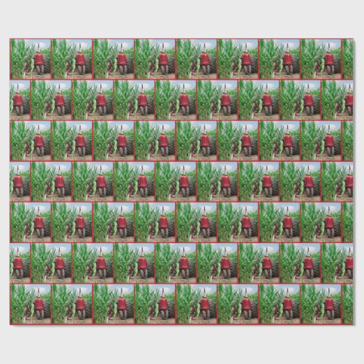 Rottraktor in Cornfield Geschenkpapier (Flach)