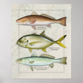 Rottrommel, Crevalle Jack, Meerforelle Trio Poster (Vorne)