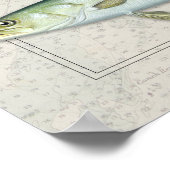 Rottrommel, Crevalle Jack, Meerforelle Trio Poster (Ecke)