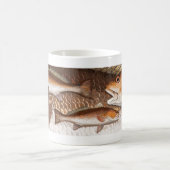 Rottrommel (Rotbarsch) Grafik Kaffeetasse (Mittel)