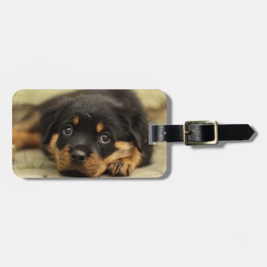 Rottweiler20150901 Gepäckanhänger (Vorderseite horizontal)