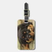 Rottweiler20150901 Gepäckanhänger (Vorderseite vertikal)