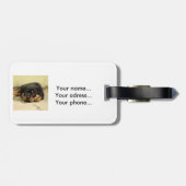 Rottweiler20150901 Gepäckanhänger (Rückseite horizontal)