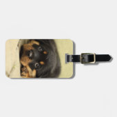 Rottweiler20150901 Gepäckanhänger (Vorderseite horizontal)