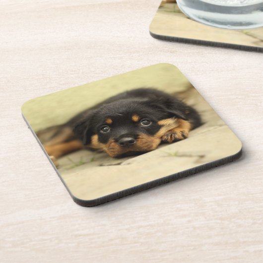 Rottweiler20150901 Getränkeuntersetzer (Linke Seite)