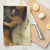 Rottweiler20150901 Handtuch (Viertel Falte)