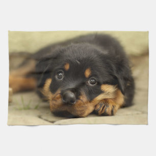 Rottweiler20150901 Handtuch