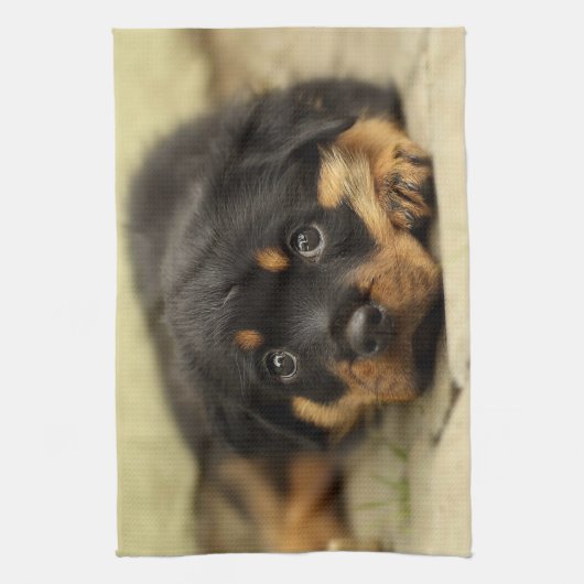Rottweiler20150901 Handtuch (Vertikal)