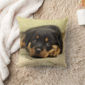 Rottweiler20150901 Kissen (Decke)