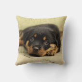 Rottweiler20150901 Kissen (Rückseite)