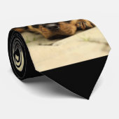 Rottweiler20150901 Krawatte (Gerollt)