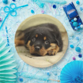 Rottweiler20150901 Pappteller (Party)