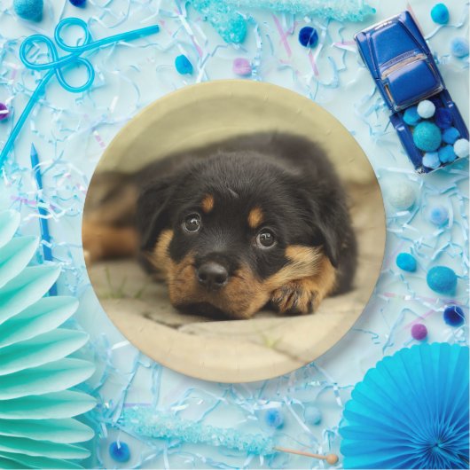 Rottweiler20150901 Pappteller (Party)