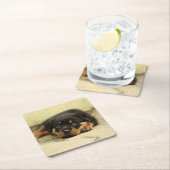 Rottweiler20150901 Rechteckiger Pappuntersetzer (Vor Ort)