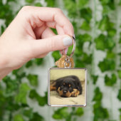 Rottweiler20150901 Schlüsselanhänger (Hand)