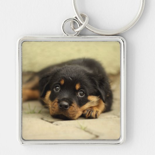 Rottweiler20150901 Schlüsselanhänger (Vorne)