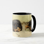Rottweiler20150901 Tasse (VorderseiteRechts)