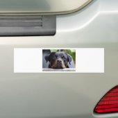 rottweiler 2.png autoaufkleber (Auf Auto)