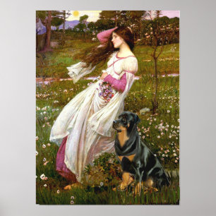 Rottweiler (#5) - Windröschen Poster