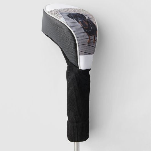 Rottweiler am Strand Golf Headcover (angewinkelt)