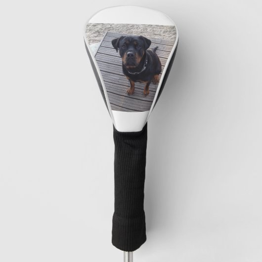 Rottweiler am Strand Golf Headcover (Vorderseite)