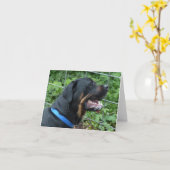 Rottweiler  "Apollo" Greeting Card Karte (Gelbe Blume)