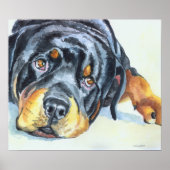 Rottweiler Art Print Poster (Vorne)