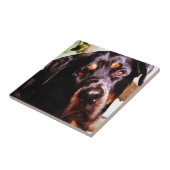 Rottweiler Artistic Pet Portait Fliese (Seite)