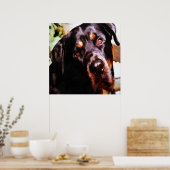 Rottweiler Artistic Pet Portait Poster (Küche)